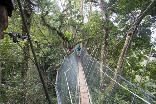 Taman Negara Adventure